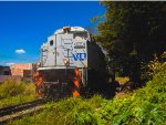 VLI 8431
